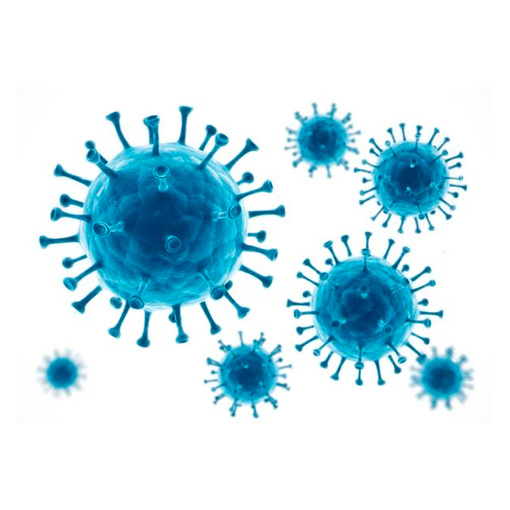 Тест на антитела к коронавирусу SARS-CoV-2 IgG КОЛИЧЕСТВЕННЫЙ